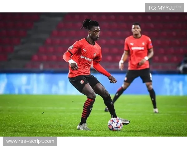 卡马文加身价与稳定性、战术角色是否匹配